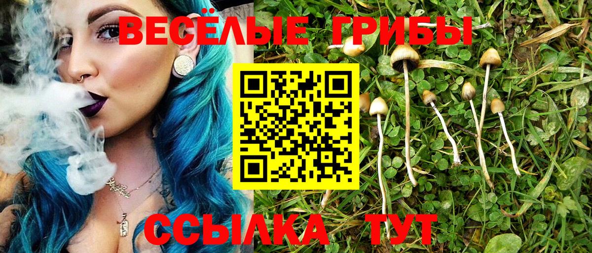 Галлюциногенные грибы мухоморы Новочеркасск